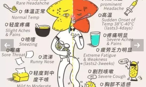 朱砂安神丸中国药典-查朱砂安神丸的功能与主治网 - 朱砂安神丸速记口诀,朱砂安神丸价格表